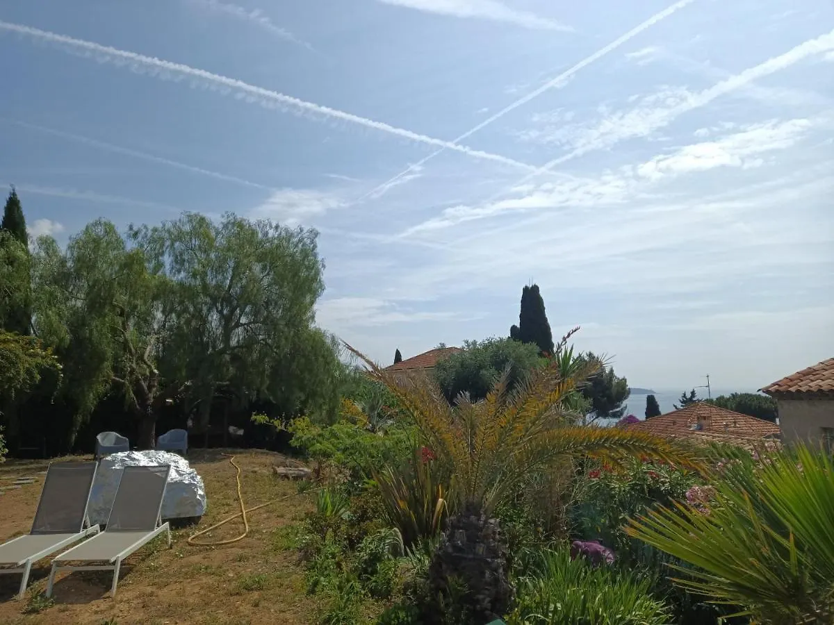 Hotel L'Albizia Nicea