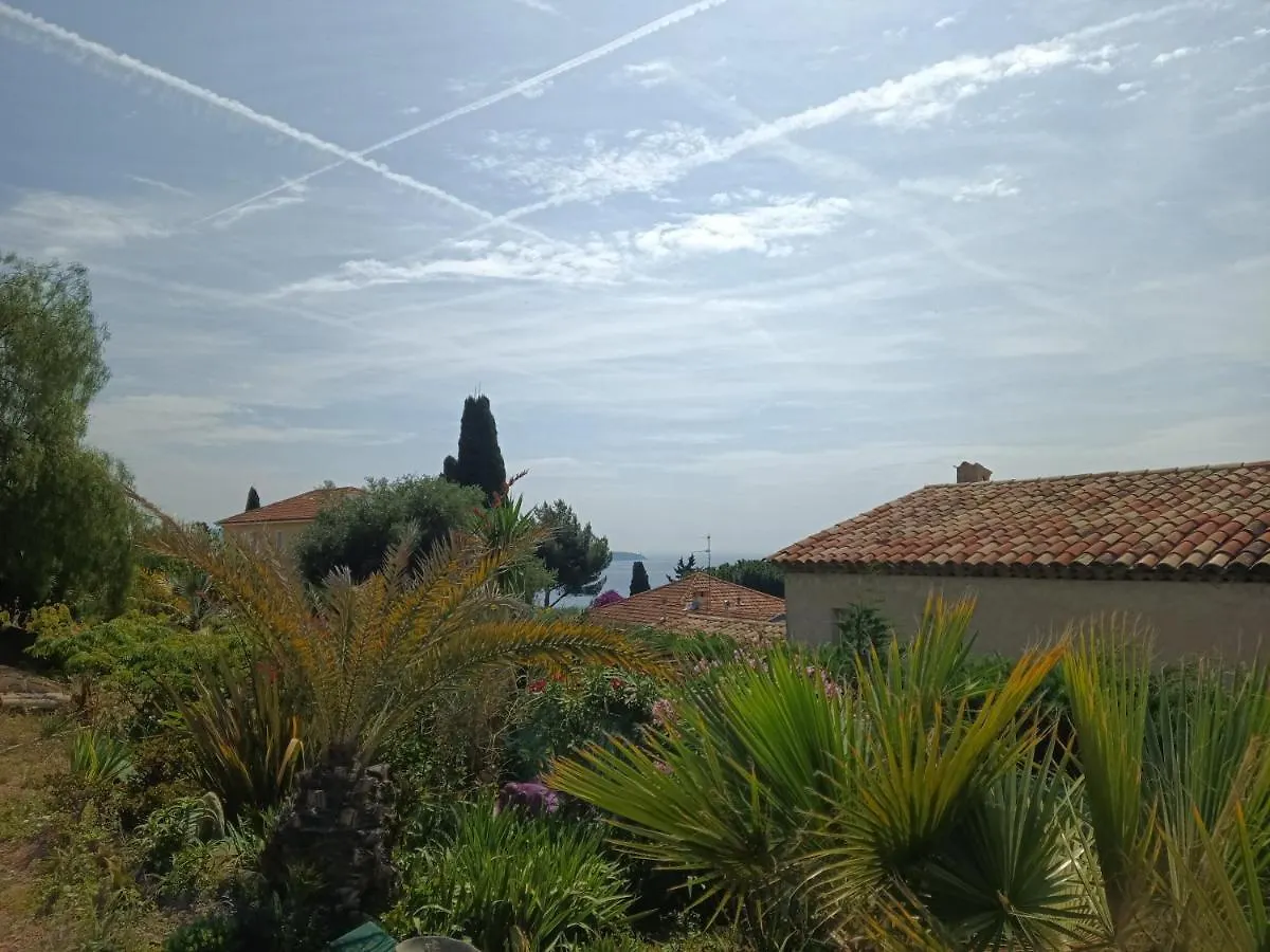 Guest house L'Albizia Hotel Nice